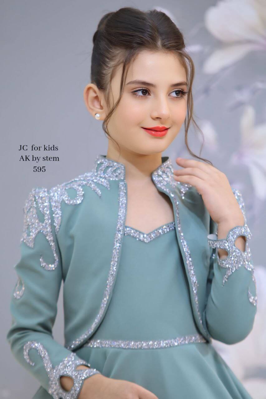 JC Olive Party Dress